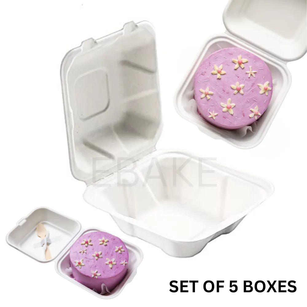 6” Bento Cake Box - Small (Set of 5) New