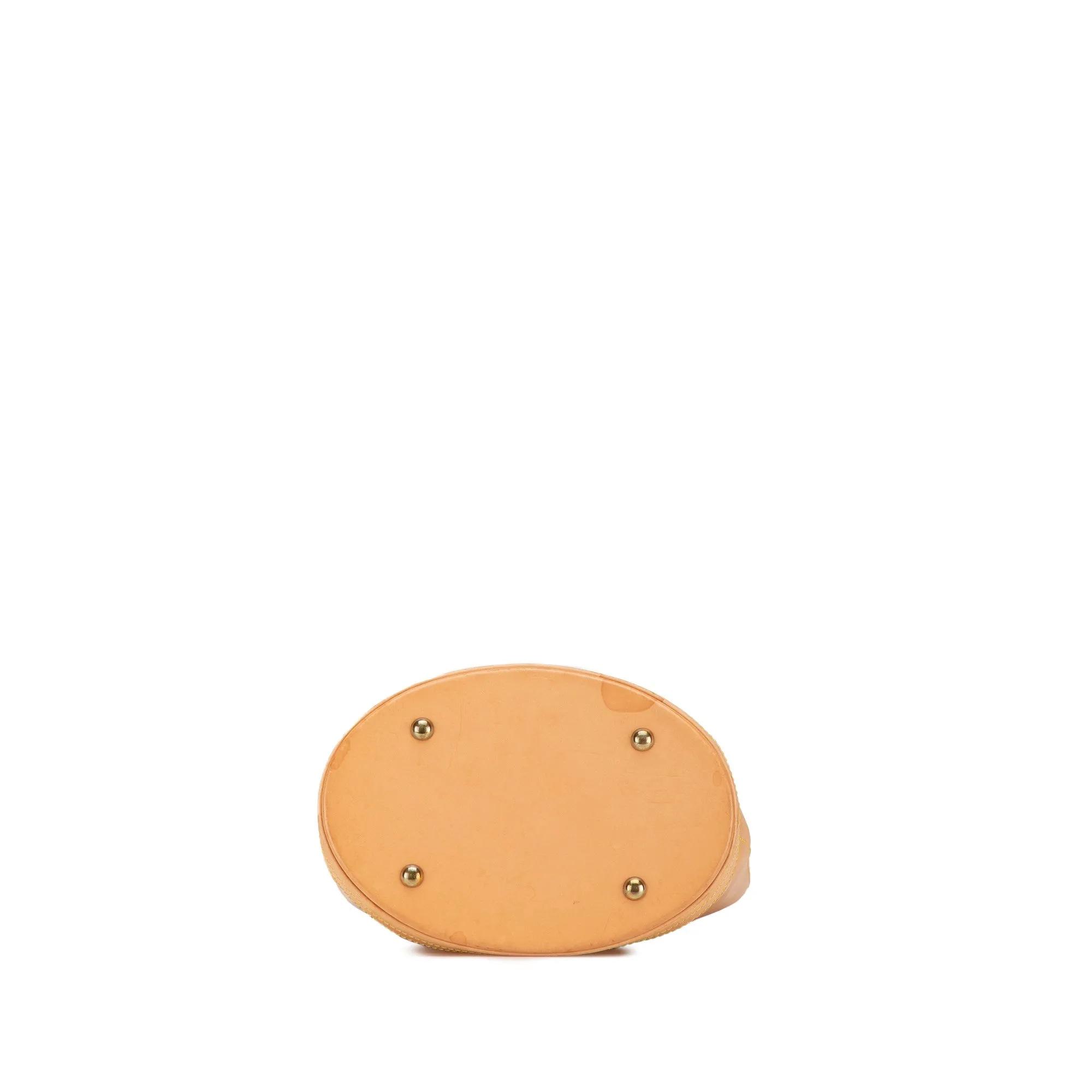 Brown Louis Vuitton Nomade Petit Bucket