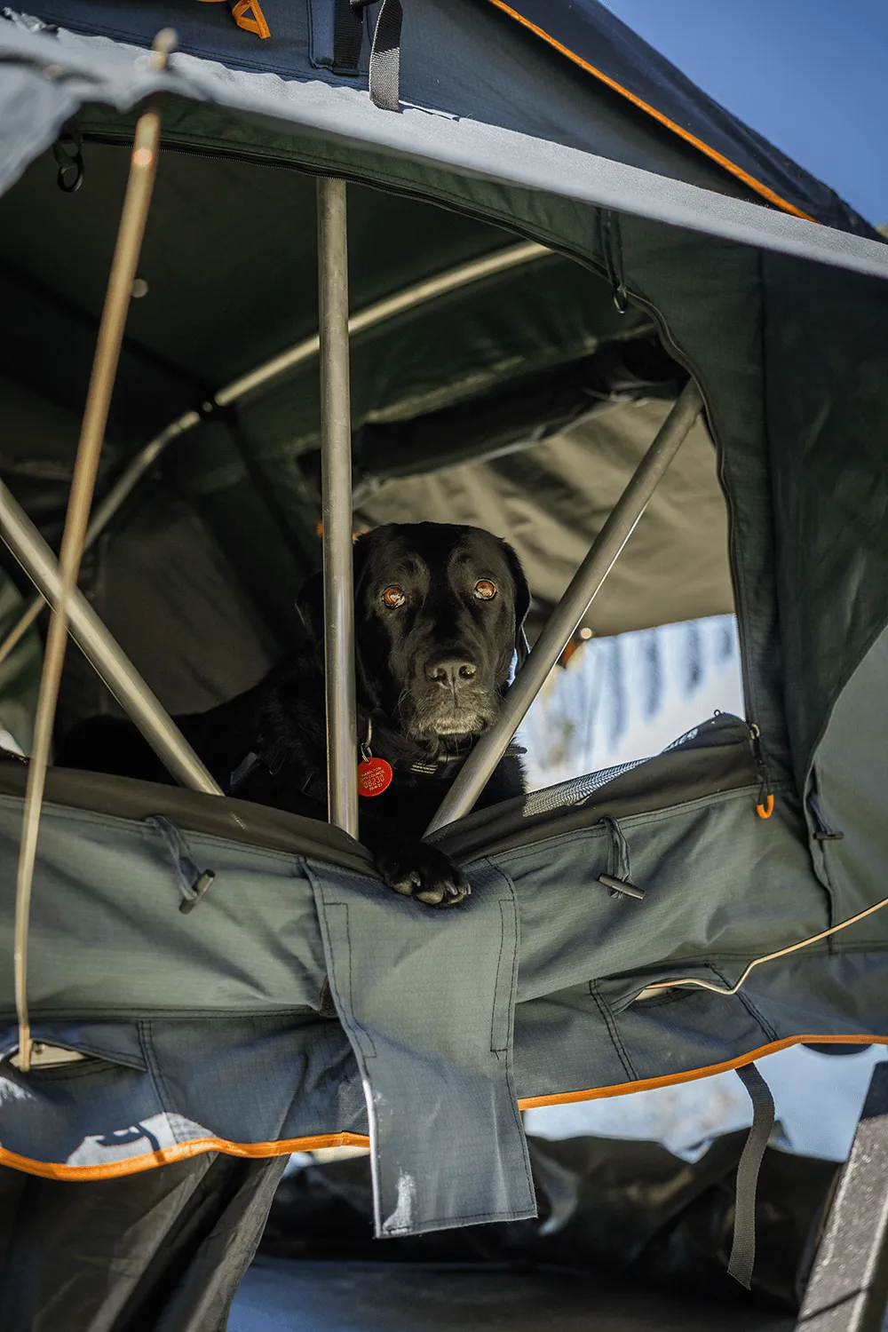 Kiwi Camping Tuatara Soft Shell Rooftop Tent - Extended