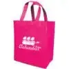 Non Woven Friendly Shopper Tote -B4120