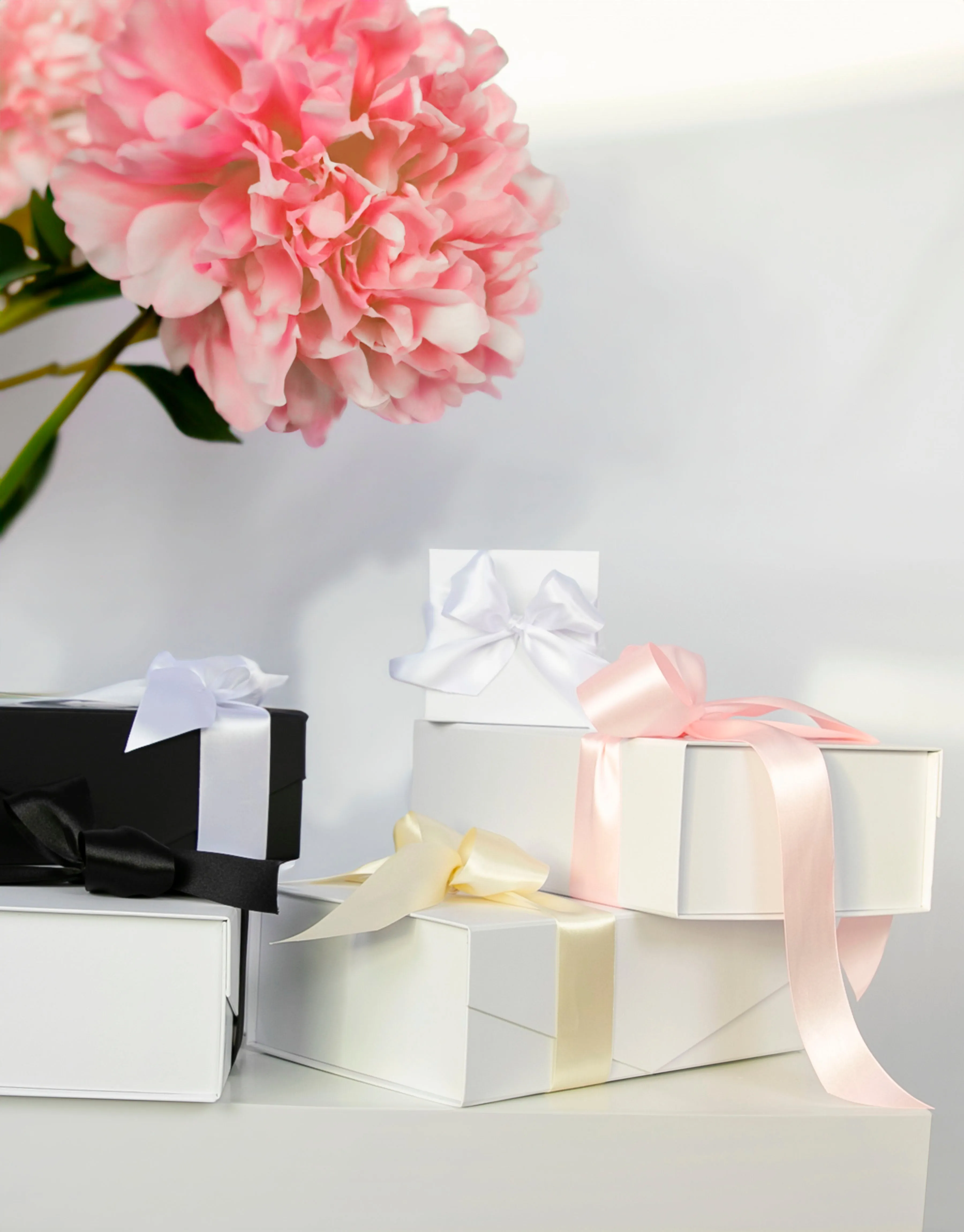 Signature Name Proposal Box - White